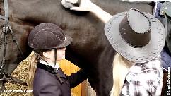 Aneta y mya se pelean en el rancho de caballos de sapphic erotica